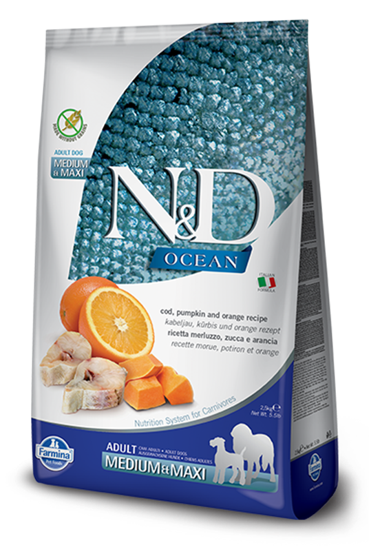 N-D-Ocean-Fish-Dog-GF-PM-Codfish-Orange-Adult-MDMX-536x0